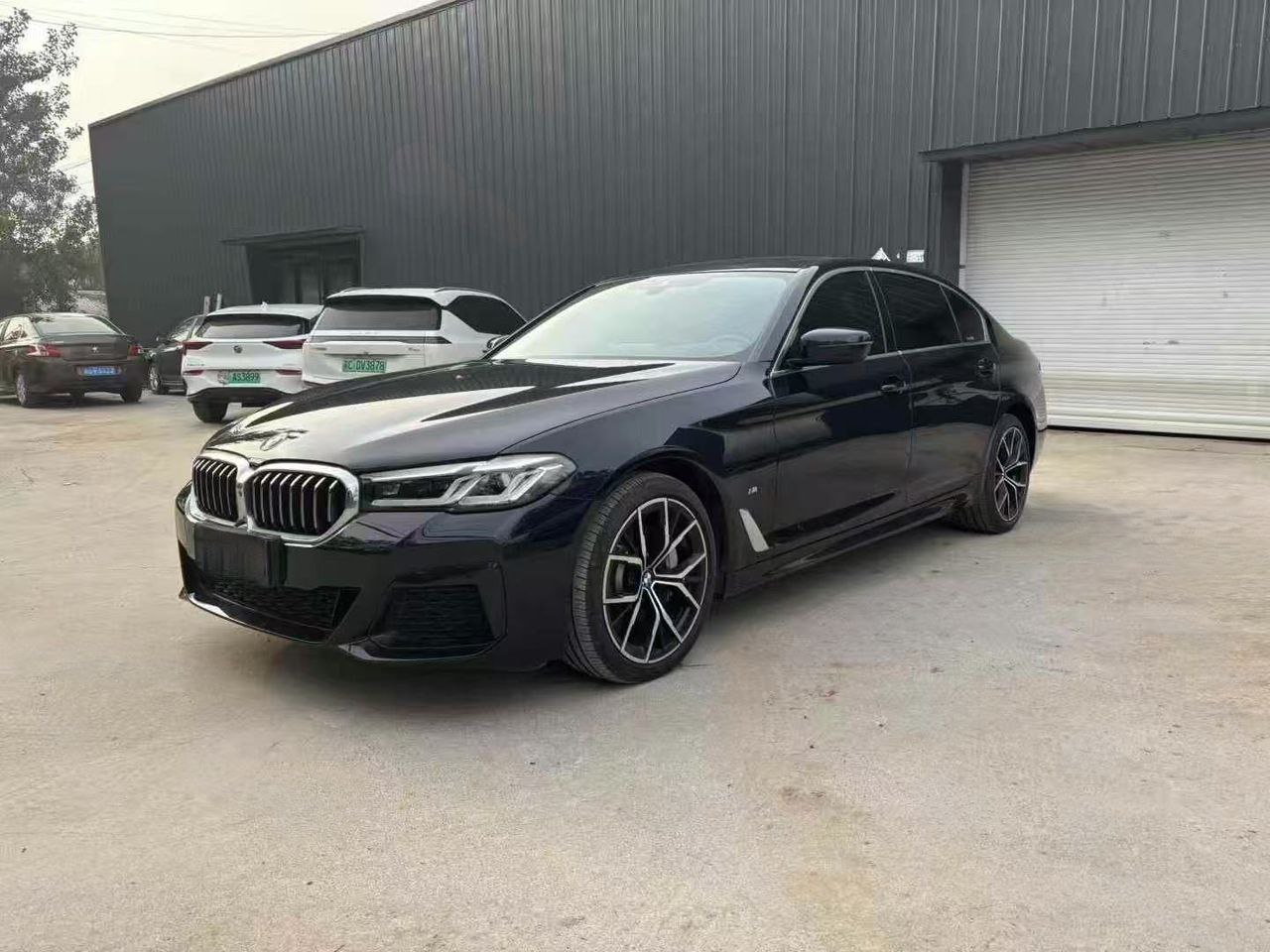 BMW 530Li Executive M Sport 2021 — фото 1