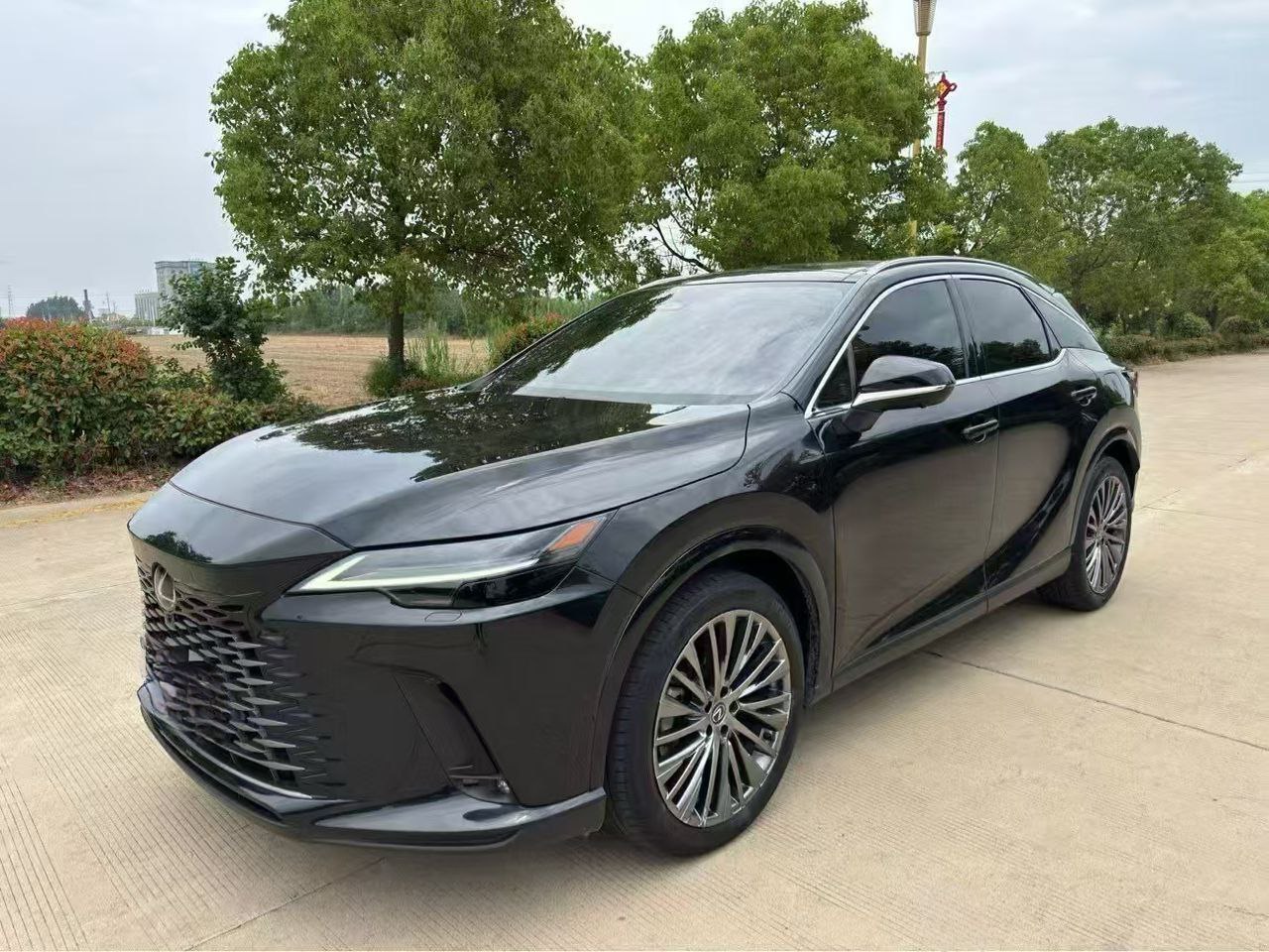 Lexus RX450 Pure Edition 2023 — фото 1
