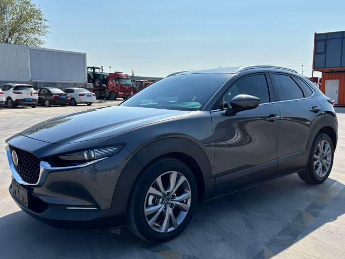Mazda CX -30 Automatic Elegant 2.0L 158HP 2WD 2022 — фото 1