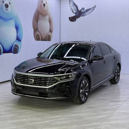 Volkswagen Passat — фото 1