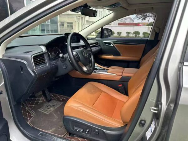 Lexus RX300 4WD Special Edition 2022 Detail View