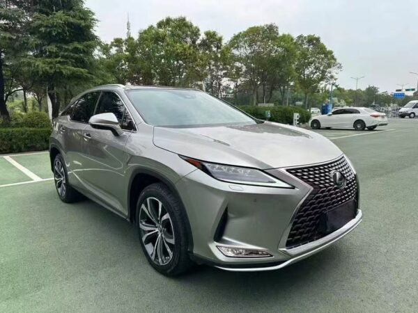 Lexus RX300 4WD Special Edition 2022 Side View