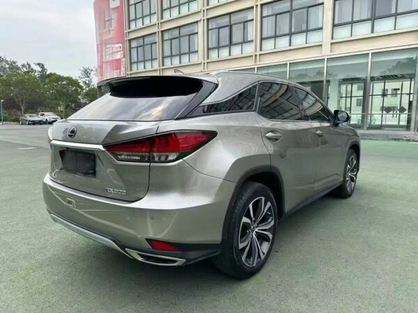 Lexus RX300 4WD Special Edition 2022 Rear View