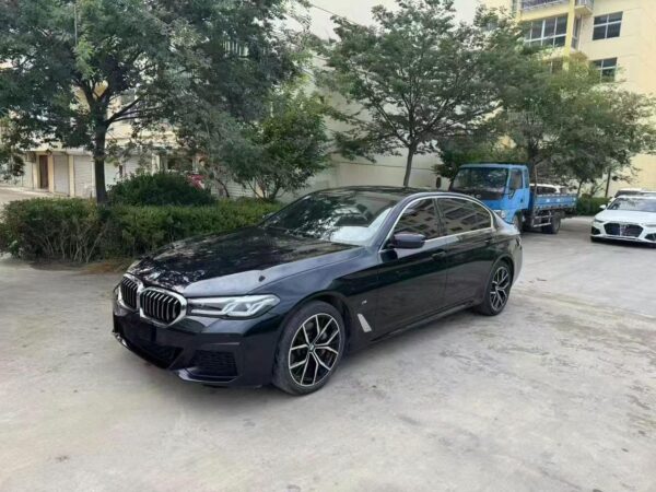 BMW 530Li Premium Luxury Package 2021