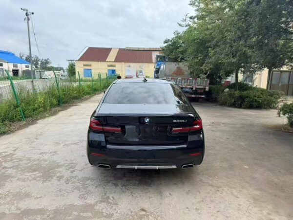 BMW 530Li Premium Luxury Package 2021 Rear View