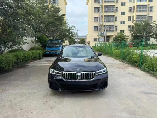 BMW 530Li Premium Luxury Package 2021 Side View