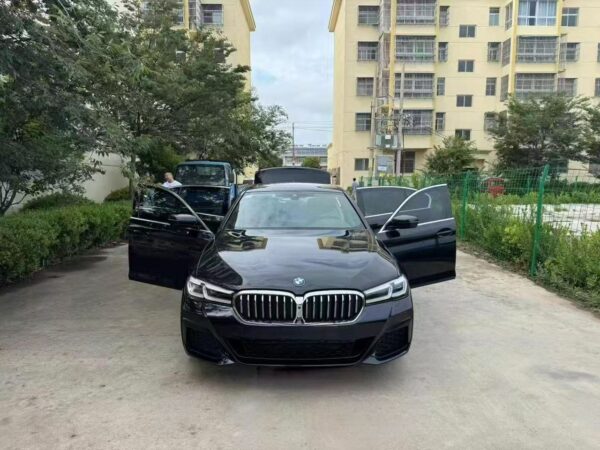 BMW 530Li Premium Luxury Package 2021 Interior