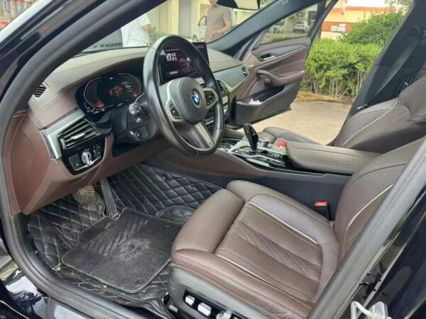 BMW 530Li Premium Luxury Package 2021 Interior Detail