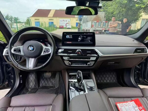 BMW 530Li Premium Luxury Package 2021 Detail View