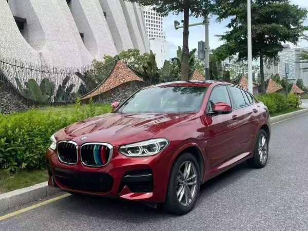 BMW X4 xDrive25i M Sport 2020 Side View