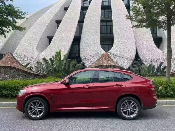 BMW X4 xDrive25i M Sport 2020 Rear View