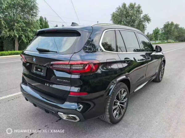 BMW X5 xDrive 30Li M Sport Package Detail View