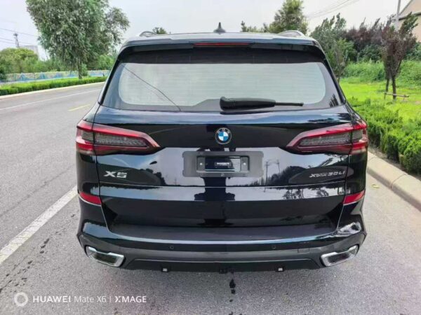 BMW X5 xDrive 30Li M Sport Package Interior