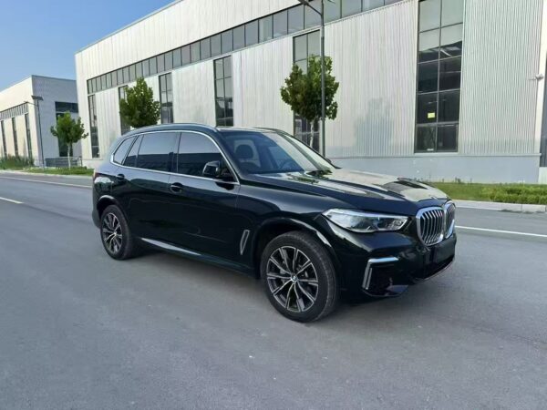 BMW X5 xDrive30Li M Sport 2022 Side View