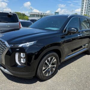 Hyundai Palisade 4WD 2.2D 2022