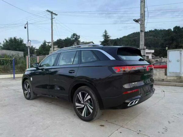 Volkswagen TAVENDOR Rear View