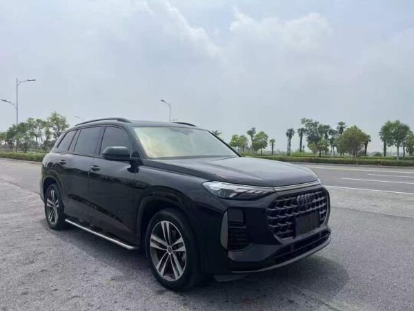 Audi Q6 45TFSI Black Warrior 2023 Side View