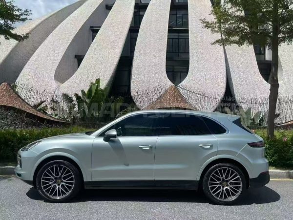 Porsche Cayenne 3.0T 4WD 2021 Rear View
