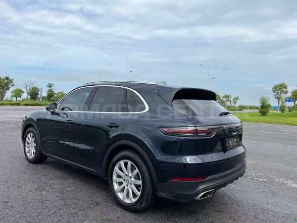Porsche Cayenne Platinum Edition 4WD Rear View