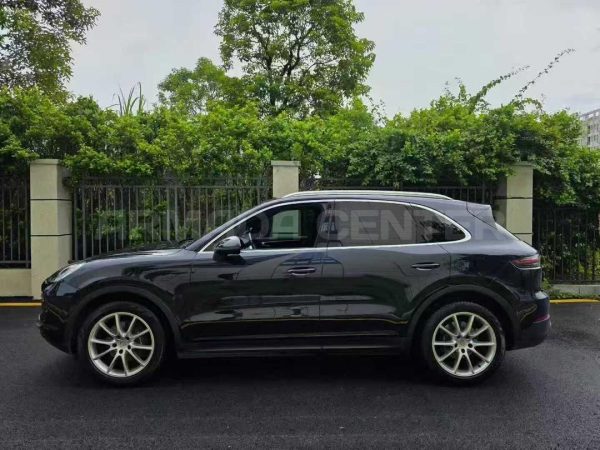 Porsche Cayenne 3.0T 4WD 2020 Rear View
