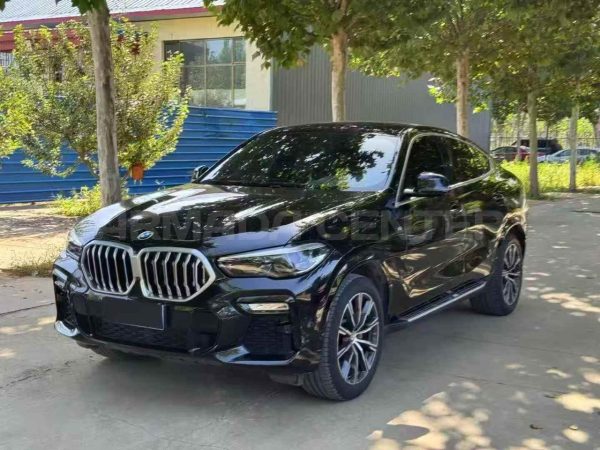 BMW X6 xDrive30i M Sport 2020 Side View