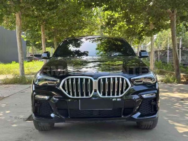 BMW X6 xDrive30i M Sport 2020 Front View