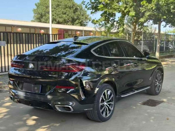 BMW X6 xDrive30i M Sport 2020 Rear View