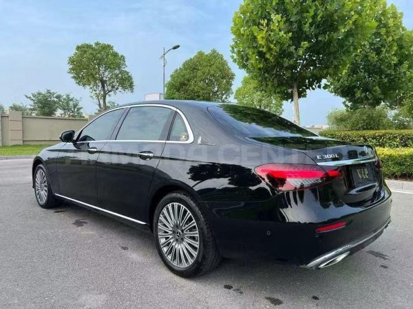 Mercedes-Benz E300L 2.0T 2021 Rear View
