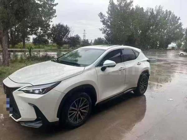 Lexus NX 260 2022 Side View