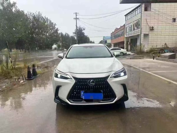 Lexus NX 260 2022 Front View