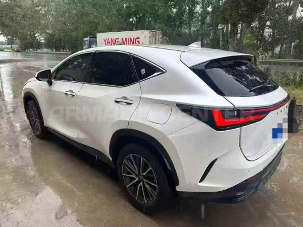 Lexus NX 260 2022 Rear View