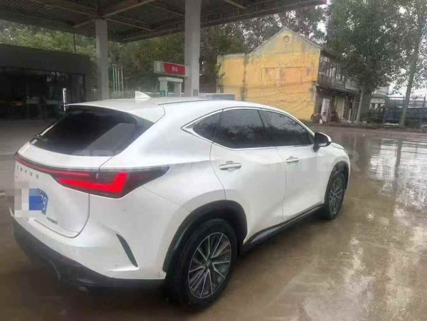 Lexus NX 260 2022 Detail View