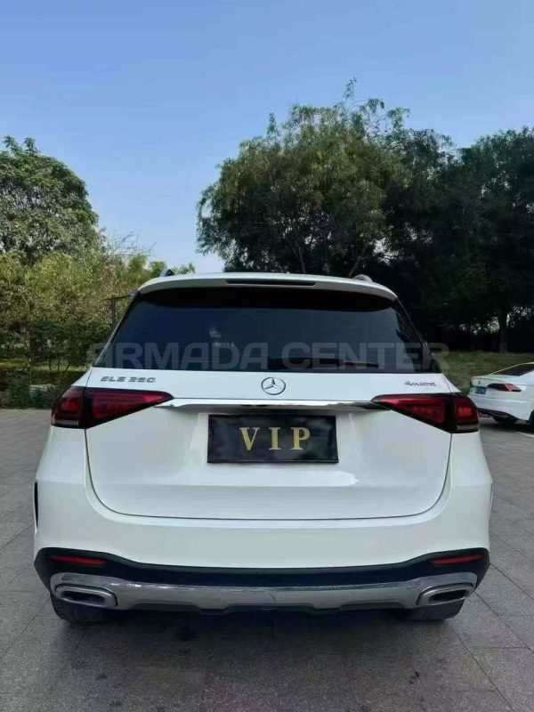 Mercedes-Benz GLE350 4MATIC 2019 Rear View