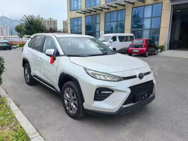 Toyota Wildlander (RAV 4) Luxury Edition 2021 Side View