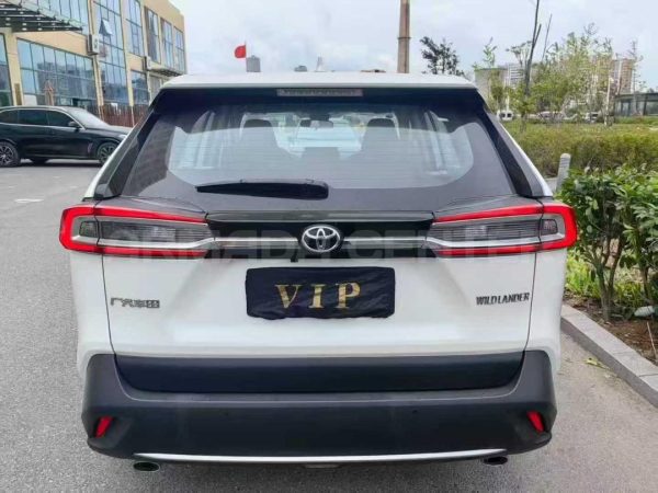 Toyota Wildlander (RAV 4) Luxury Edition 2021 Interior