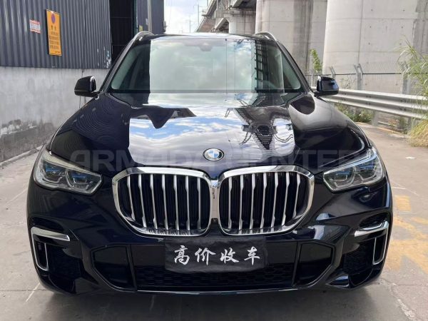 BMW X5 xDrive 30Li M Sport Package 2023 Front View