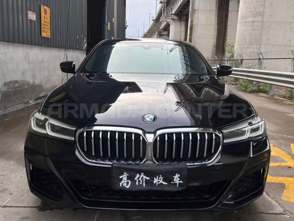 BMW 530Li Leading M Sport 2021 Side View