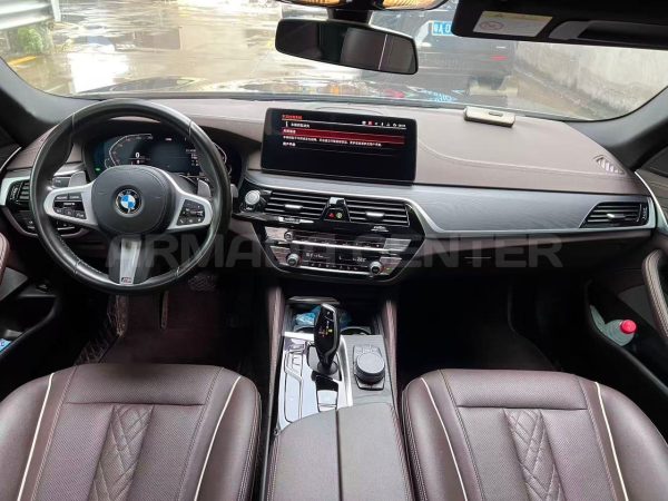 BMW 530Li Leading M Sport 2021 Rear View