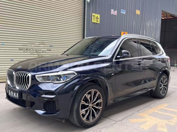 BMW X5 xDrive 40i M Sport Package 2021 Side View