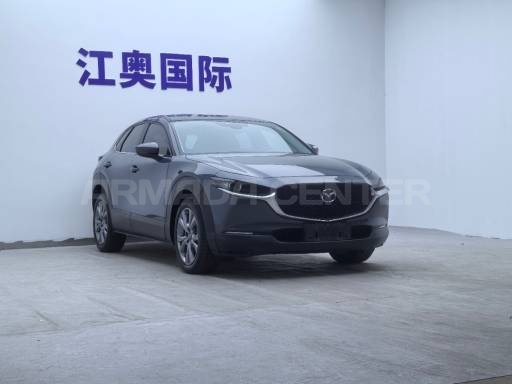 Mazda CX-30 2.0L Automatic Elegant Joyful Edition 2020 Rear View