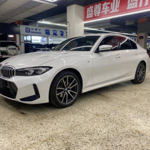 BMW 320Li 2.0T 156HP 2WD 2023 | VIN 713956