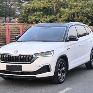 Skoda Kamiq 1.2T 116HP 2WD 2021