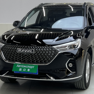 Haval M6 1.5T 143HP 2WD 2021 | VIN 393879 | Арт. AWD4192 | ID 18975