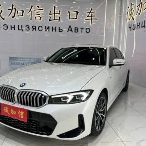 BMW 320Li 2.0T 156HP 2WD 2023 | Белый | Арт. CA6192