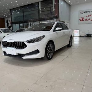 Dongfeng Kia 1.5 115HP 2WD 2022