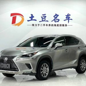 Lexus NX200 Lexus NX 2.0L 150HP 2WD 2020 | Золотистый