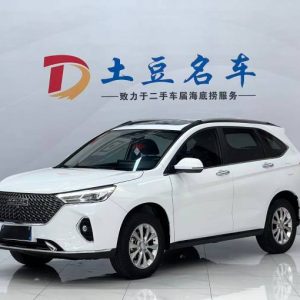Haval H6 1.5L 143HP 2WD 2023 | Белый | Арт. CA8112