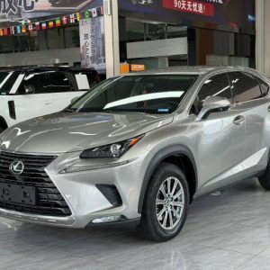 Lexus NX 2.0L 150HP 2WD 2020 | Пепел | Арт. CA7881