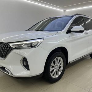 Haval M6PLUS 1.5T 143HP 2WD 2022