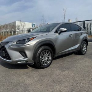 Lexus NX200 Trendy Edition 2.0L 150HP 4WD 2021